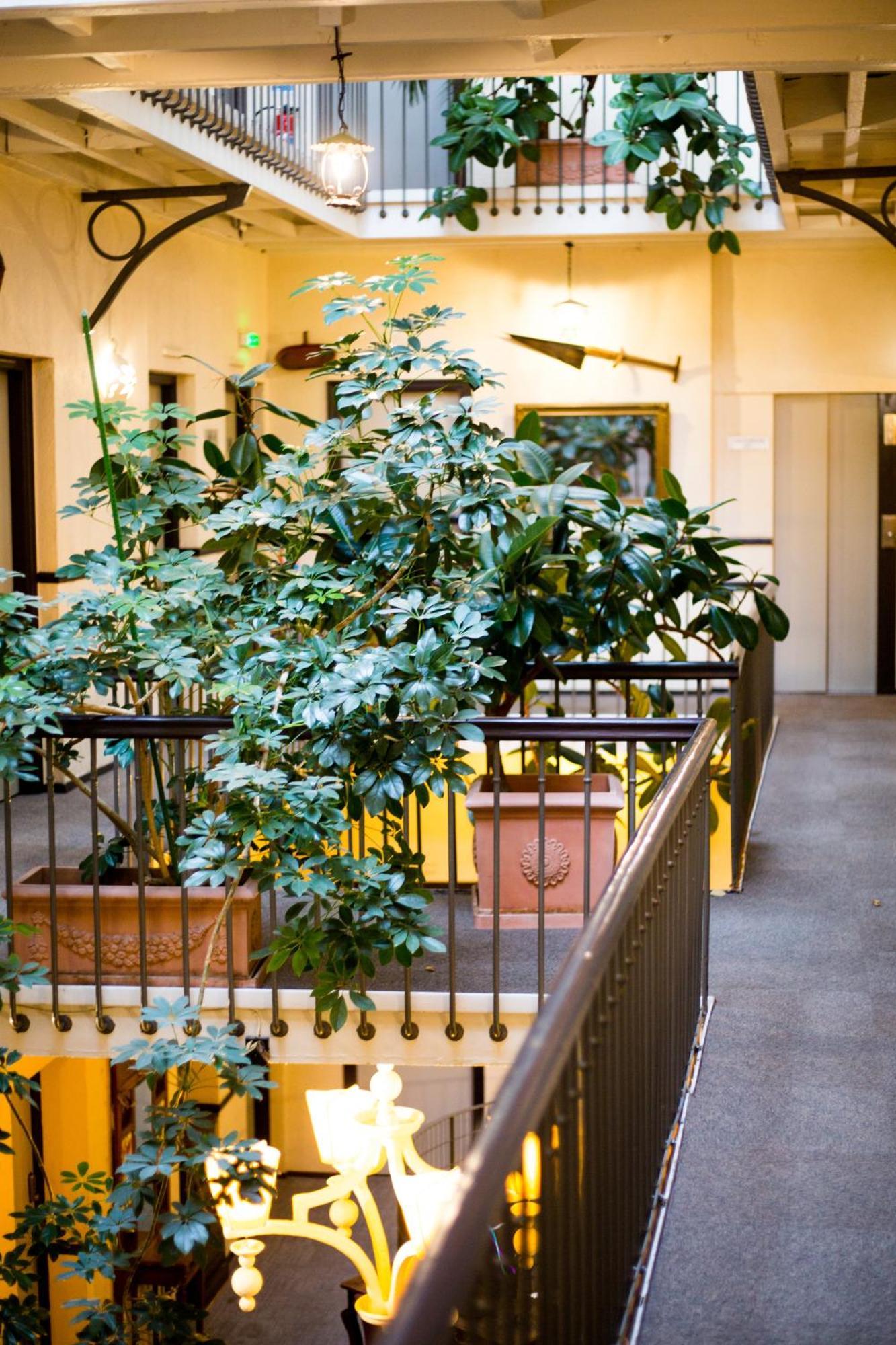 Grand Hotel D'Orleans Toulouse Eksteriør bilde